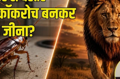 शेर नहीं, कॉकरोच बनिए! कठिन वक्त में डटे रहने का यह मंत्र बदल सकता है आपका जीवन