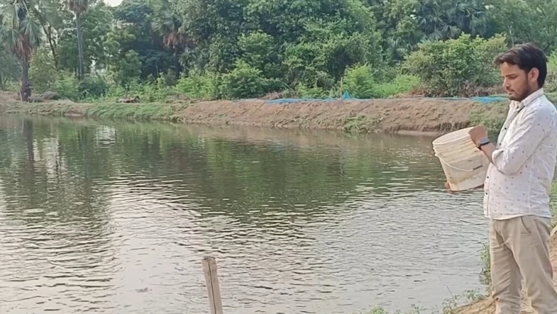 पढ़ाई के साथ मछली पालन से कमाल, 23 की उम्र में विवेकानंद ने छुआ 25 लाख का टर्नओवर; अपनाई अलग तकनीक