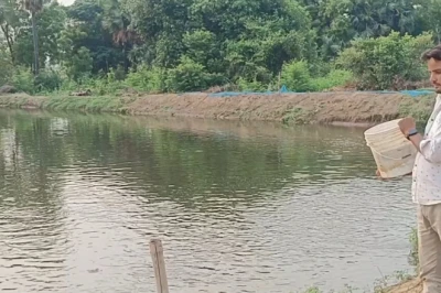 पढ़ाई के साथ मछली पालन से कमाल, 23 की उम्र में विवेकानंद ने छुआ 25 लाख का टर्नओवर; अपनाई अलग तकनीक