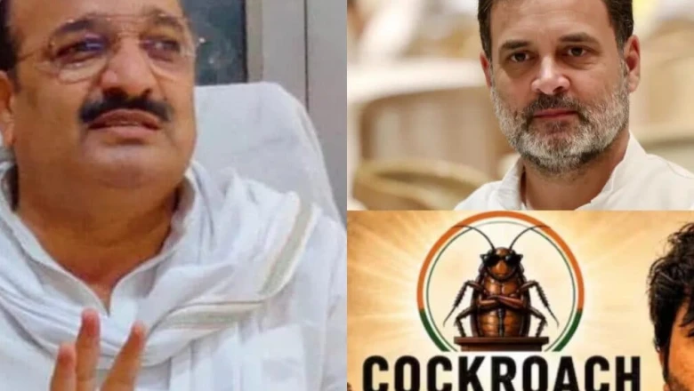 यूपी के कृषि राज्य मंत्री दिनेश प्रताप सिंह का राहुल गांधी पर वार, बोले- ECI में जिस पार्टी का नाम ही नहीं उसकी चर्चा बेमानी