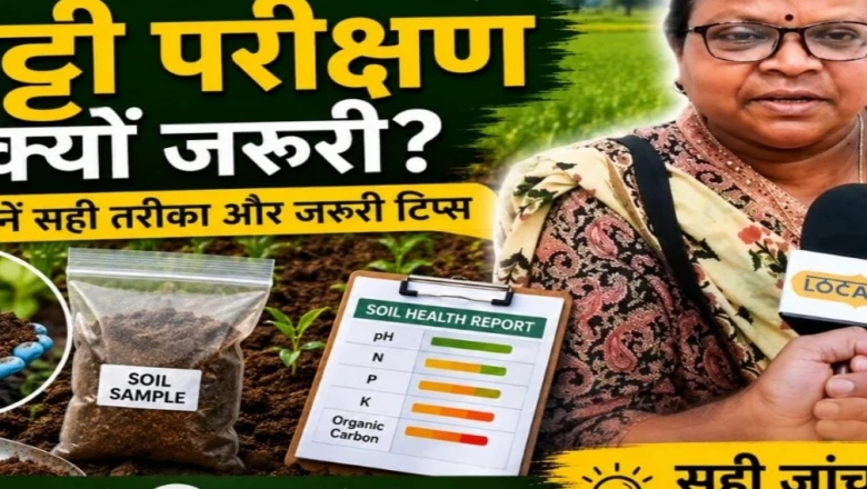 खरीफ की बुवाई से पहले मिट्टी परीक्षण क्यों जरूरी, खेत के किन हिस्सों से लें नमूना और क्या हैं नियम?