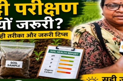 खरीफ की बुवाई से पहले मिट्टी परीक्षण क्यों जरूरी, खेत के किन हिस्सों से लें नमूना और क्या हैं नियम?