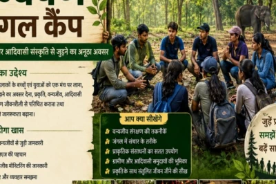 बेतला नेशनल पार्क में 'अन्वेषण' जंगल कैंप का आगाज़, एडवेंचर के शौकीन युवा हो सकते हैं शामिल, पहला बैच 22 जून से