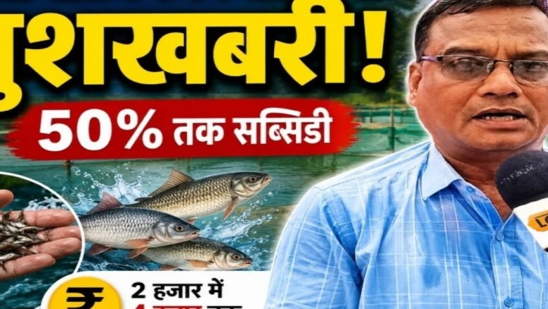 मछली पालकों के लिए राहत भरी खबर, मछली बीज पर मिलेगा 50% तक अनुदान