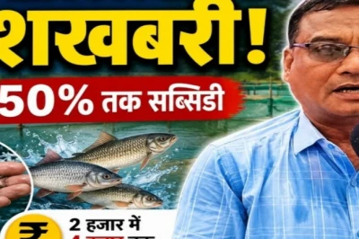 मछली पालकों के लिए राहत भरी खबर, मछली बीज पर मिलेगा 50% तक अनुदान