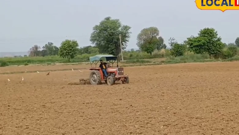 Farming Tips: मानसून आने से पहले खेतों में निपटा लें ये 3 काम, खरीफ फसल में मिलेगी बंपर पैदावार