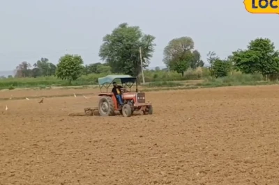 Farming Tips: मानसून आने से पहले खेतों में निपटा लें ये 3 काम, खरीफ फसल में मिलेगी बंपर पैदावार
