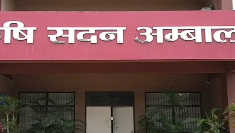 किसानों के लिए नई मुश्किल! बिना एग्री स्टैक आईडी अटक सकती है पीएम किसान की किस्त, फौरन बनवाएं यह पहचान