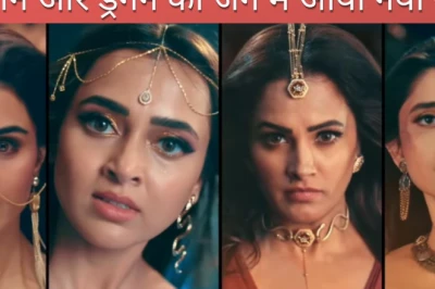 'नागिन 7' के फिनाले में होगा महासंग्राम, राधिका ने मांगा विशाखा का साथ; क्या ड्रैगन पर भारी पड़ेगी नागिन की शक्ति?