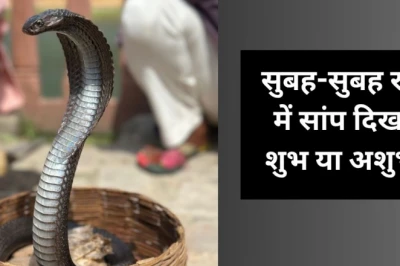 सुबह के समय रास्ते में अचानक दिख जाए सांप, तो क्या है इसका मतलब? जानिए इसके पीछे छिपे शुभ-अशुभ संकेत