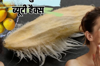 आम की गुठली को फेंकना है बड़ी भूल! ये 6 ब्यूटी हैक्स बना देंगे स्किन और बालों को शानदार