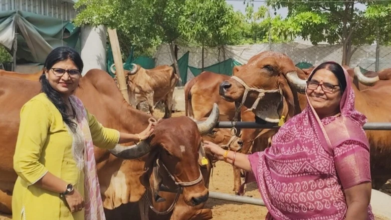 गाय के दूध से मां को मिली राहत, असिस्टेंट प्रोफेसर की नौकरी छोड़ शुरू किया गौ सेवा धाम, आज बनीं मिसाल