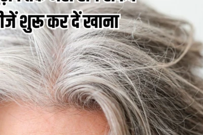 25 साल में ही सफेद होने लगे बाल? डाइट में जोड़ें ये 5 चीजें, बुढ़ापे तक काले और चमकदार रहेंगे केश