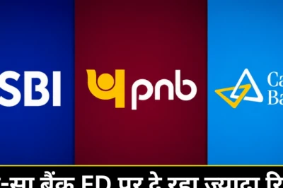 SBI, PNB और केनरा बैंक: दो साल की एफडी पर किस सरकारी बैंक में मिल रहा सबसे ऊंचा ब्याज?