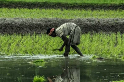 खेत बचाने की मुहिम: शिवहर में घर-घर पहुंचकर किसानों को सिखाई जा रही जैविक खेती