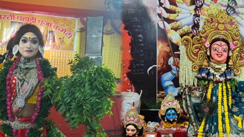 मां पहाड़ी की पूजा से दूर होती हैं चिकन पॉक्स जैसी बीमारियां, जानें झारखंड के इस 5 दिवसीय अनोखे पर्व की मान्यता