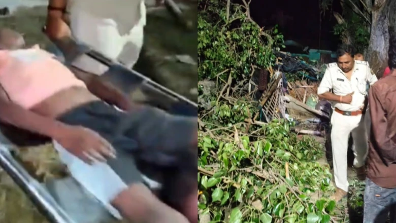 रात की नींद बनी मौत: फूस के घर पर गिरा विशाल पीपल, एक ही परिवार के 4 लोगों की जान गई