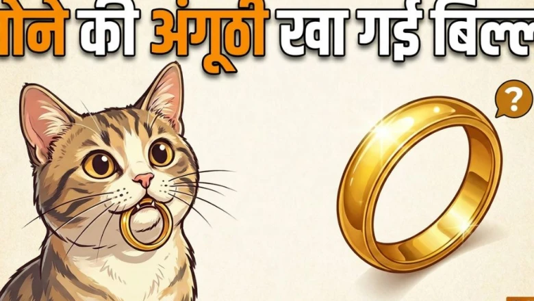महाराष्ट्र: दामाद के लिए सरप्राइज में रखी थी सोने की अंगूठी, आटे के गोले के साथ बिल्ली निगल गई—फिर जो हुआ...
