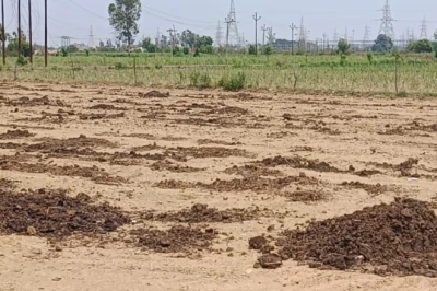 धान की रोपाई से पहले करें खेत की मिट्टी का शोधन, ये तीन जैविक उत्पाद हैं कारगर, कीटनाशक की भी नहीं पड़ेगी जरूरत