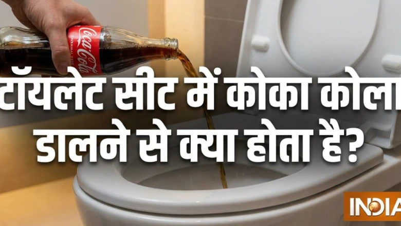 टॉयलेट सीट में कोका कोला डालने से क्या होता है? जानिए सही तरीका