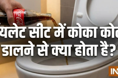टॉयलेट सीट में कोका कोला डालने से क्या होता है? जानिए सही तरीका