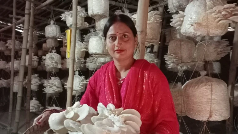 तीन-चार महीने में लागत से दोगुना-तीन गुना कमाई! झोपड़ी से शुरू कर AC प्लांट तक पहुंचीं मधुबनी की 'मशरूम क्वीन' स्वाति झा
