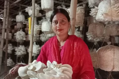तीन-चार महीने में लागत से दोगुना-तीन गुना कमाई! झोपड़ी से शुरू कर AC प्लांट तक पहुंचीं मधुबनी की 'मशरूम क्वीन' स्वाति झा