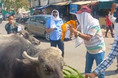 हड़ताल का निराला अंदाज: भैंस के सामने बीन बजाते दिखे स्वास्थ्यकर्मी, हैरान रह गए राहगीर