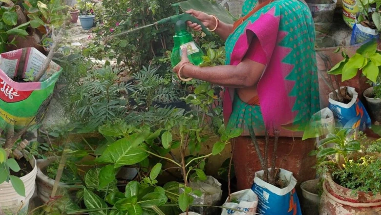 डिटर्जेंट के पैकेट, घी का टिन और प्लास्टिक के डिब्बे बने गमले, सरिता का बगीचा देखने पहुंच रहे लोग