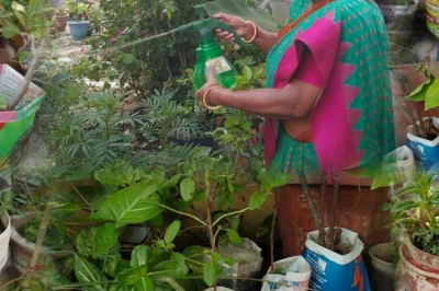 डिटर्जेंट के पैकेट, घी का टिन और प्लास्टिक के डिब्बे बने गमले, सरिता का बगीचा देखने पहुंच रहे लोग