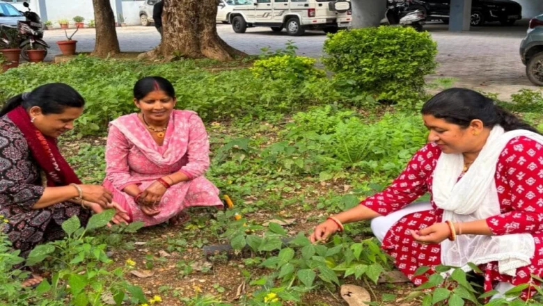बंजर जमीन बनी आमदनी का जरिया: बागेश्वर की महिलाओं ने खाली खेत में उगाया किचन गार्डन, अब कैंटीन में परोस रहीं ताजी सब्जियां