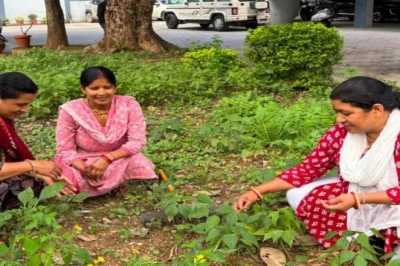 बंजर जमीन बनी आमदनी का जरिया: बागेश्वर की महिलाओं ने खाली खेत में उगाया किचन गार्डन, अब कैंटीन में परोस रहीं ताजी सब्जियां