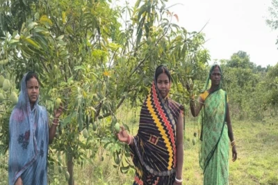सरकारी पौधों से बदली किस्मत: आम बेचकर रोज 1000 से 1200 रुपये कमा रहीं देवघर की महिलाएं