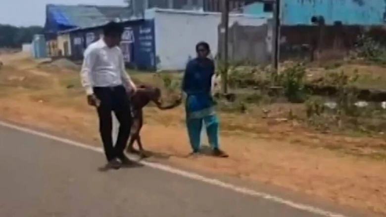 गर्मी में पैदल जा रही बुजुर्ग को घर छोड़ आए BDO, मानवता की मिसाल बना वीडियो वायरल