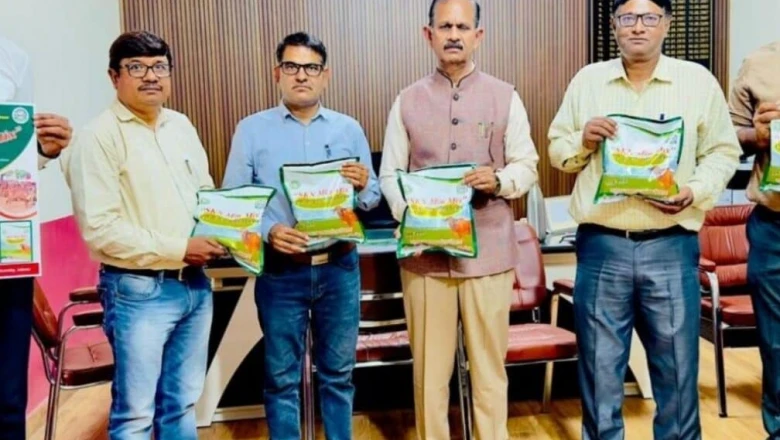 जोबनेर: पशुपालकों को मिली बड़ी सौगात, SKNAU ने पेश किया 'SKN मिन मिक्स', दूध उत्पादन में होगा इजाफा