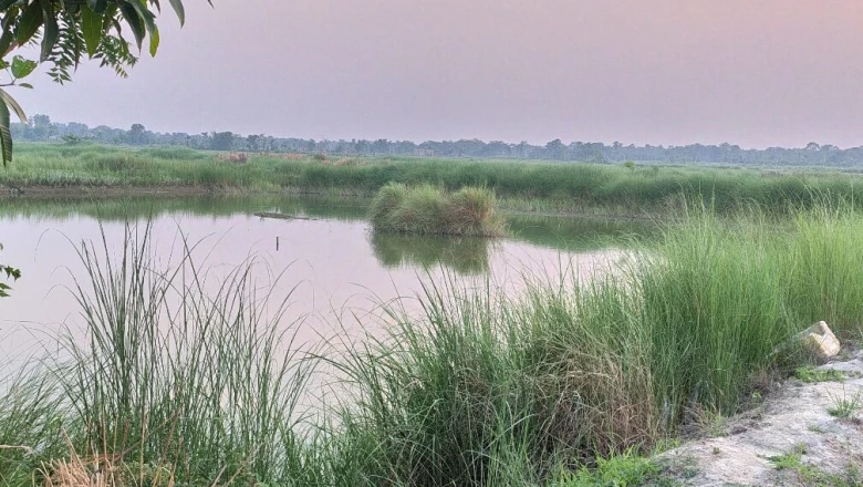बिहार का अनोखा 'तालाबों का गांव', जहां बाढ़ की मार ने लिख दी खुशहाली की नई कहानी