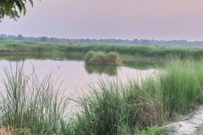 बिहार का अनोखा 'तालाबों का गांव', जहां बाढ़ की मार ने लिख दी खुशहाली की नई कहानी
