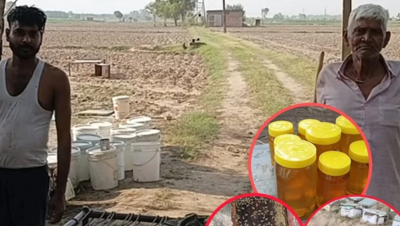 तीन पीढ़ियों से मधुमक्खी पालन, बक्सों के साथ खेतों में डेरा डालने वाले इन लोगों की दिलचस्प तरकीब