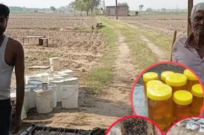 तीन पीढ़ियों से मधुमक्खी पालन, बक्सों के साथ खेतों में डेरा डालने वाले इन लोगों की दिलचस्प तरकीब