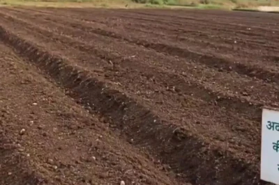 मानसून से पहले खेत की तैयारी पूरी तो फसल भरपूर! कमर्शियल खेती करने वाले किसान जरूर अपनाएं ये तरीके