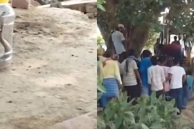 सीवान के सुरवाला गांव में सांप के डसने से सोनू और मनीष की मौत, पीपल के पेड़ से निकले दो खतरनाक सांप