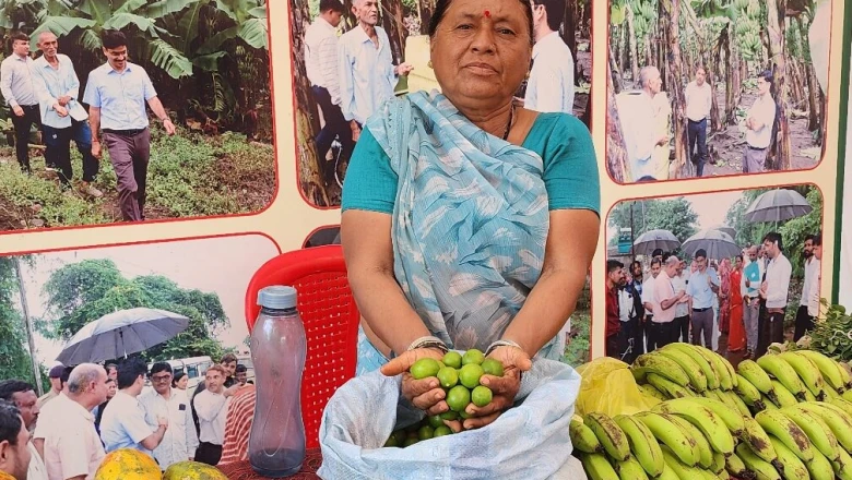 बुरहानपुर की 60 वर्षीय महिला किसान बनीं मिसाल, 5 एकड़ में जैविक खेती से हर साल कमा रहीं लाखों