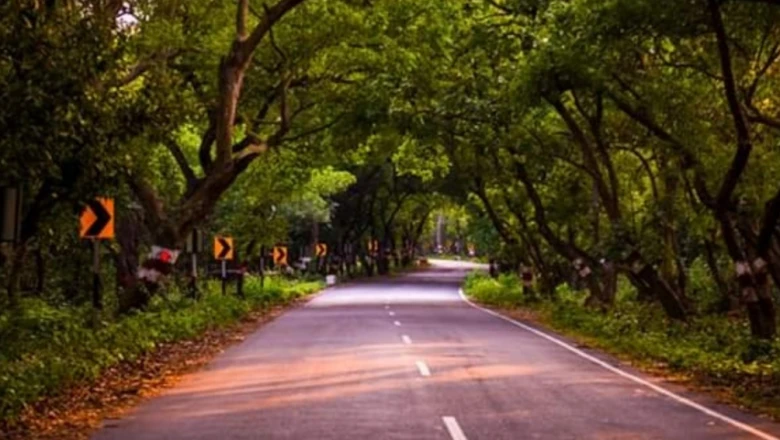 यूपी का यह मशहूर टाइगर रिजर्व जल्द होगा बंद, घूमने का बचा है आखिरी मौका