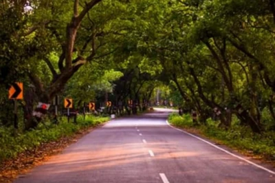 यूपी का यह मशहूर टाइगर रिजर्व जल्द होगा बंद, घूमने का बचा है आखिरी मौका