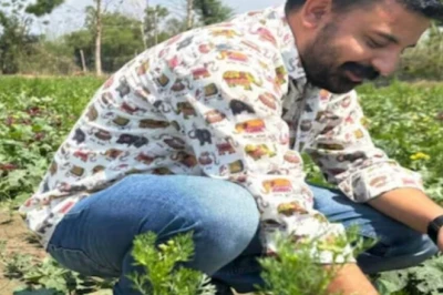 जून के अंतिम सप्ताह में बोएं ये सब्जियां, बारिश में रहती है जबरदस्त मांग, होगी बंपर कमाई