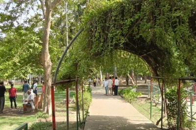 बल्लभगढ़ सिटी पार्क में बंदरों को लेकर बंटी राय, कोई बता रहा आतंक तो कोई कह रहा इंसानी गलती