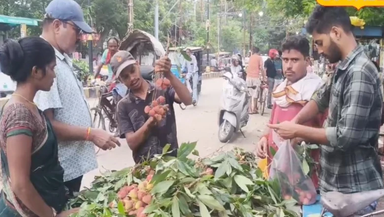 मुजफ्फरपुर की शाही लीची का दाम काजू से भी ऊंचा, 1200 रुपये सैकड़ा तक पहुंची कीमत, विदेशों तक डिमांड बरकरार