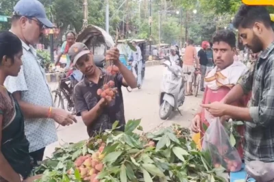 मुजफ्फरपुर की शाही लीची का दाम काजू से भी ऊंचा, 1200 रुपये सैकड़ा तक पहुंची कीमत, विदेशों तक डिमांड बरकरार