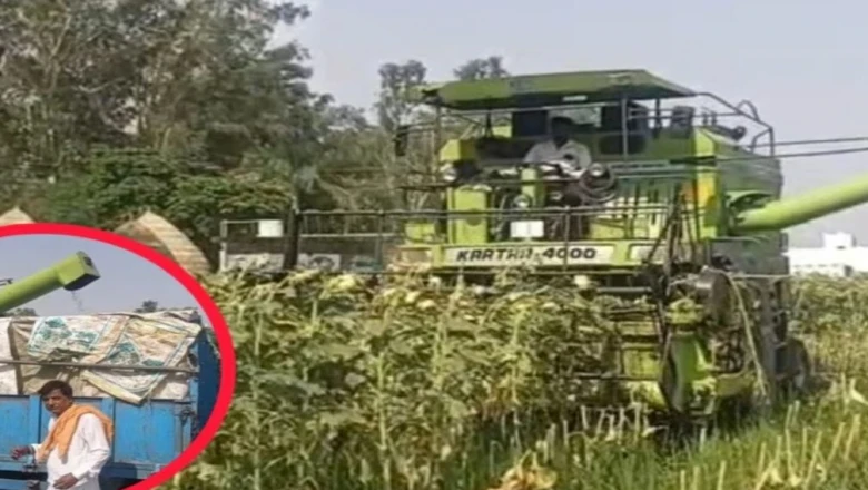किसान का देसी जुगाड़: ₹5500 मांग रहे थे मजदूर, अब कंबाइन मशीन मिनटों में काट रही सूरजमुखी की फसल