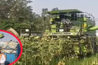 किसान का देसी जुगाड़: ₹5500 मांग रहे थे मजदूर, अब कंबाइन मशीन मिनटों में काट रही सूरजमुखी की फसल